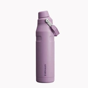 NWT Stanley ICEFLOW BOTTLE 24oz stainless steel Fast Flow Lid LILAC (D/C color!)